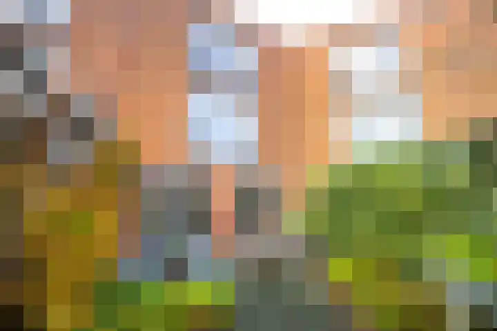 Huis te Zuylenlaan 115 Utrecht thumbnail 11