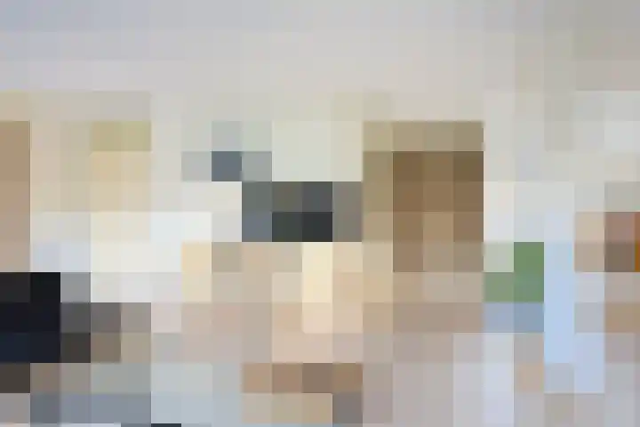 Huis te Zuylenlaan 115 Utrecht thumbnail 12