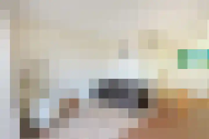 Huis te Zuylenlaan 115 Utrecht thumbnail 37