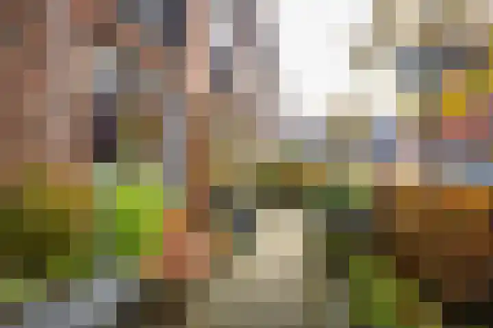 Huis te Zuylenlaan 115 Utrecht thumbnail 4