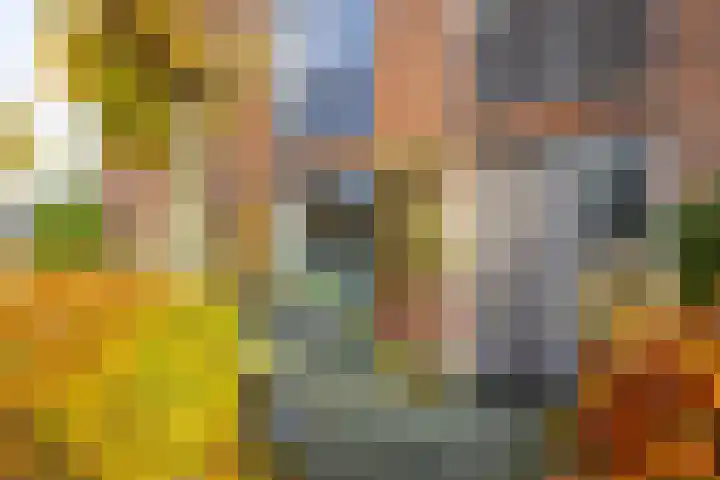 Huis te Zuylenlaan 115 Utrecht thumbnail 5