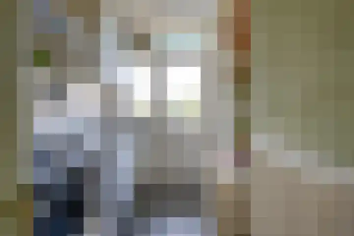 Huis ten Boschlaan 3 3 Utrecht thumbnail 16