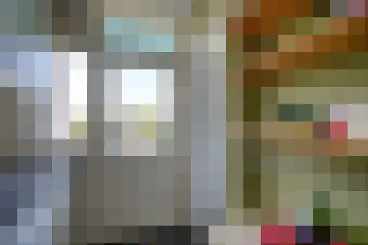 Huis ten Boschlaan 3 3 Utrecht thumbnail 17