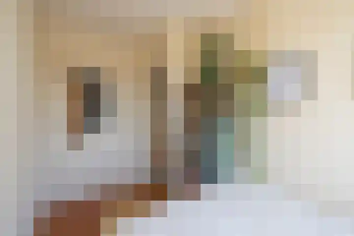 Huis ten Boschlaan 3 3 Utrecht thumbnail 25
