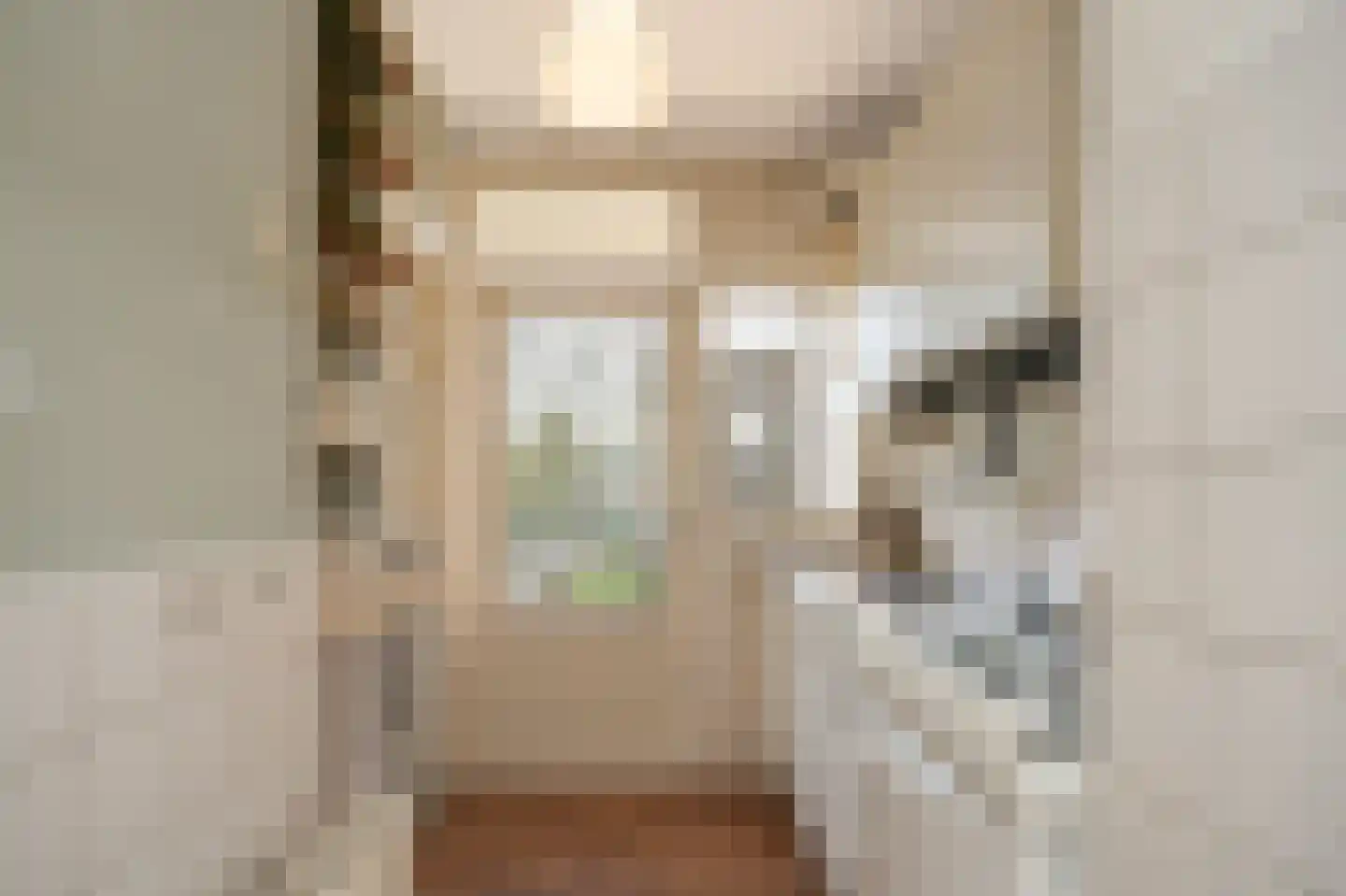 Huis ten Boschlaan 5 1 Utrecht thumbnail 24