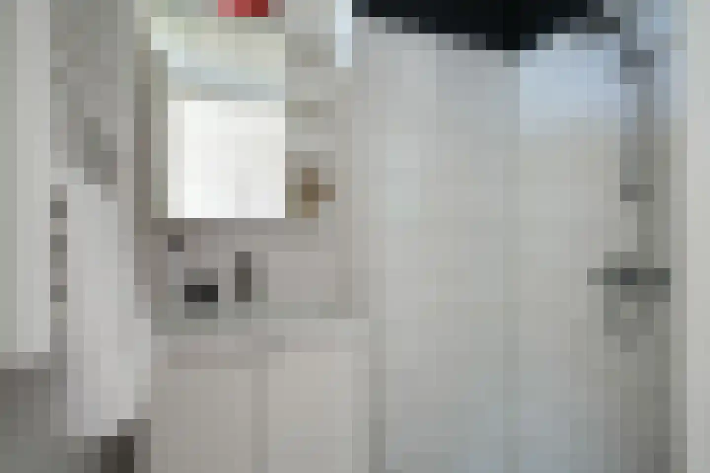 Huis ten Boschlaan 5 1 Utrecht thumbnail 31