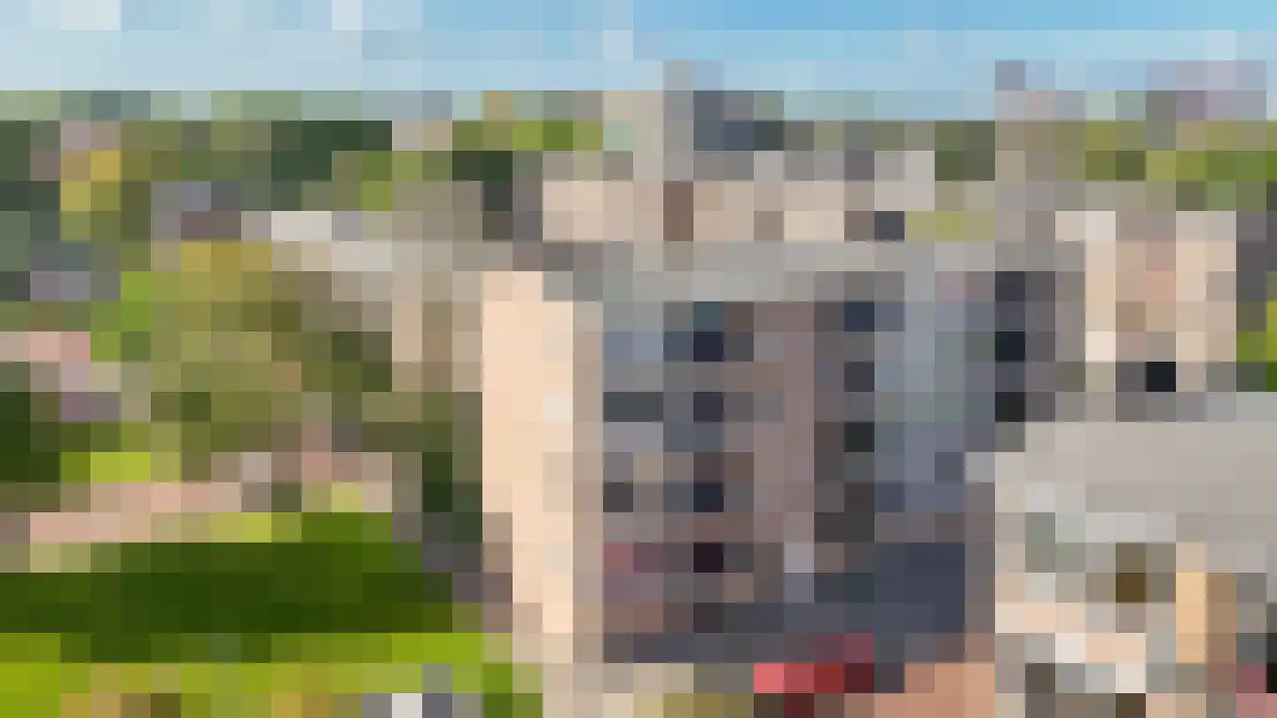 Huis ten Boschlaan 5 1 Utrecht thumbnail 39