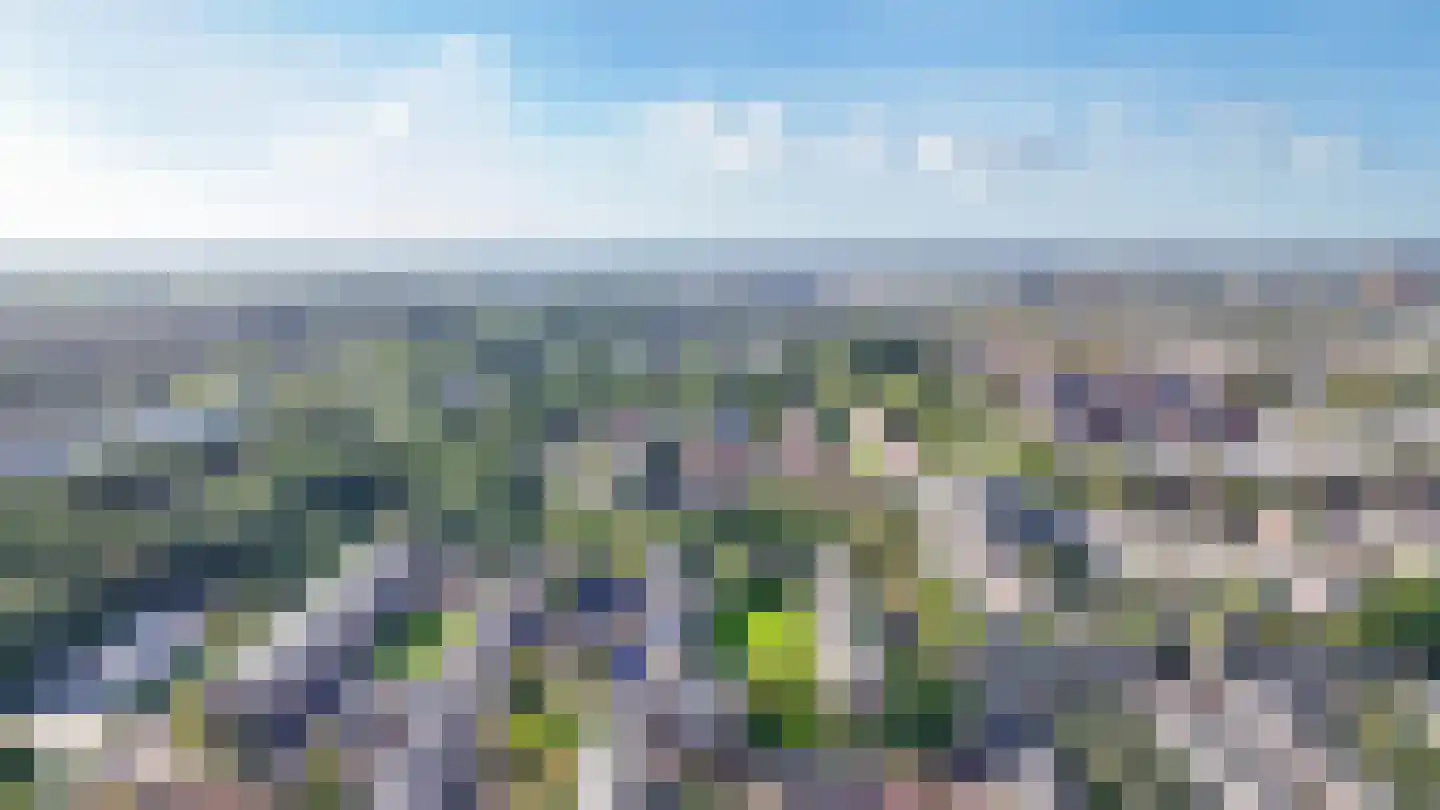 Huis ten Boschlaan 5 1 Utrecht thumbnail 41