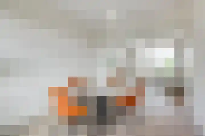 Huis ten Boschlaan 9 3 Utrecht thumbnail 11