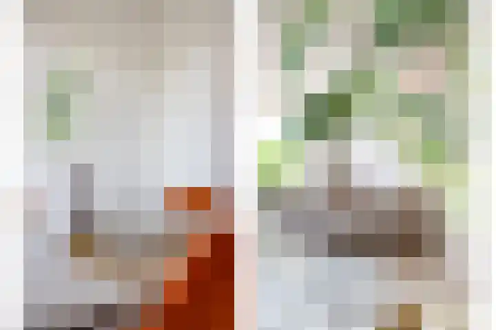 Huis ten Boschlaan 9 3 Utrecht thumbnail 12