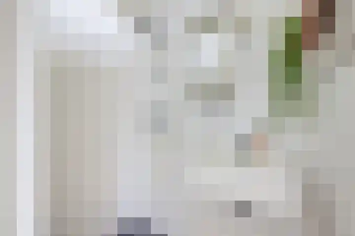 Huis ten Boschlaan 9 3 Utrecht thumbnail 13