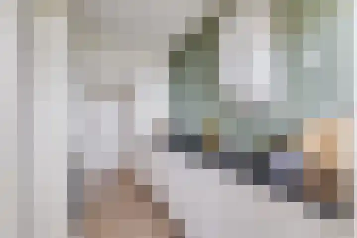 Huis ten Boschlaan 9 3 Utrecht thumbnail 14