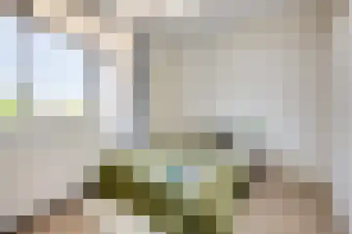 Huis ten Boschlaan 9 3 Utrecht thumbnail 17