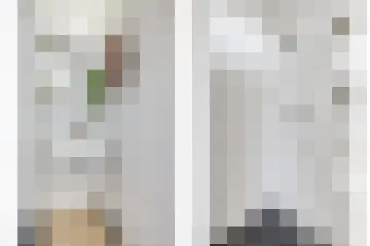 Huis ten Boschlaan 9 3 Utrecht thumbnail 4