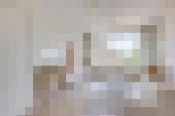 Huis ten Boschlaan 9 3 Utrecht thumbnail 8