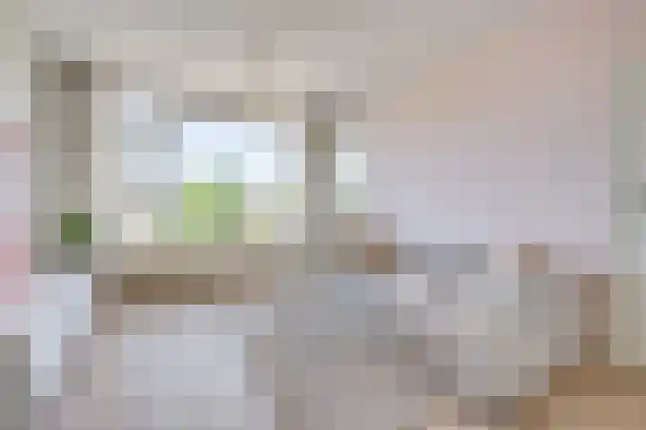Huis ten Boschlaan 9 3 Utrecht thumbnail 9