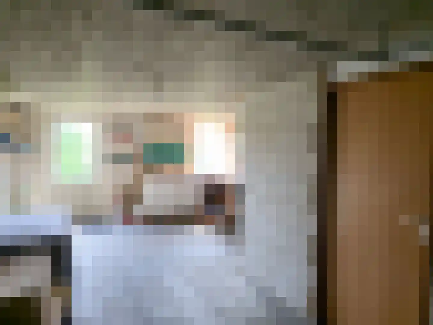 Huis ter Aa 4 Heveadorp thumbnail 25