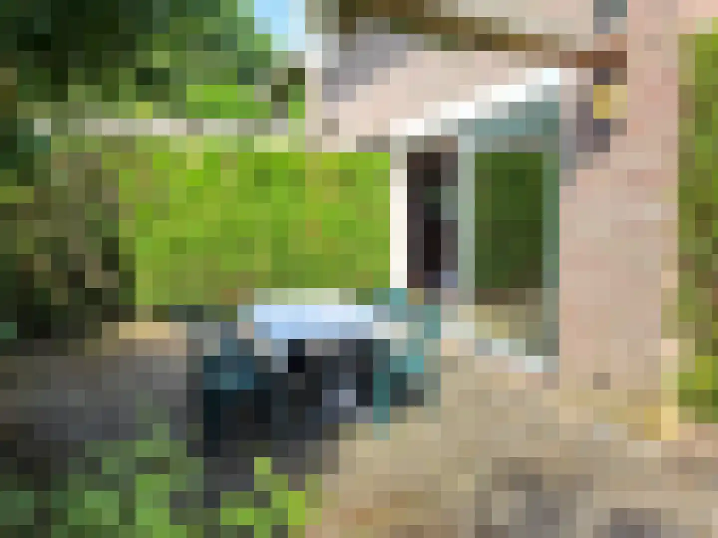 Huis ter Aa 4 Heveadorp thumbnail 31