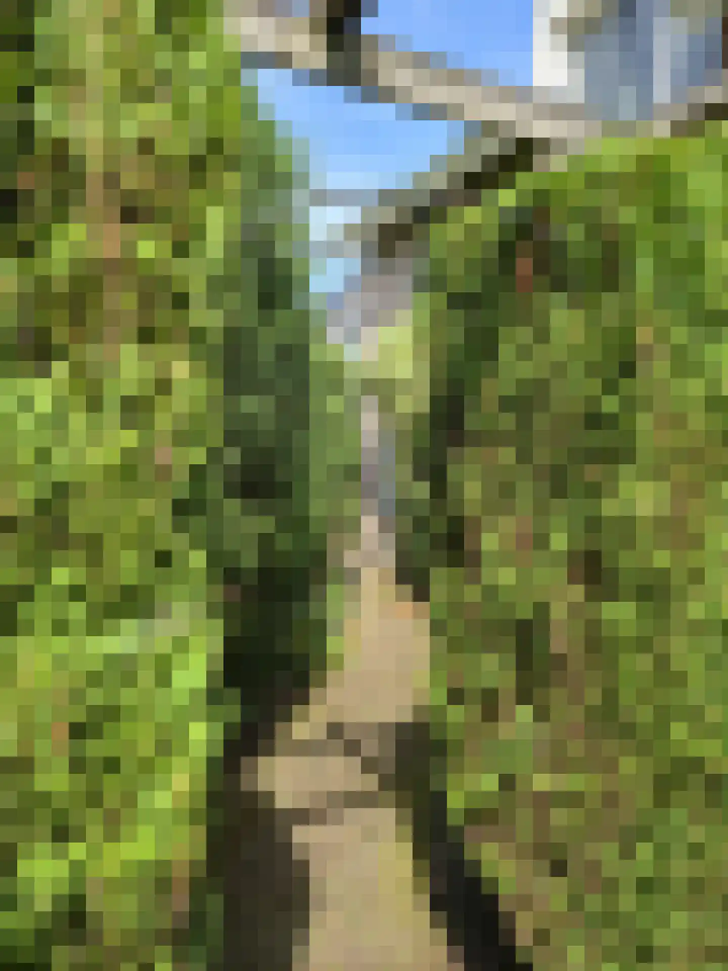 Huis ter Aa 4 Heveadorp thumbnail 33