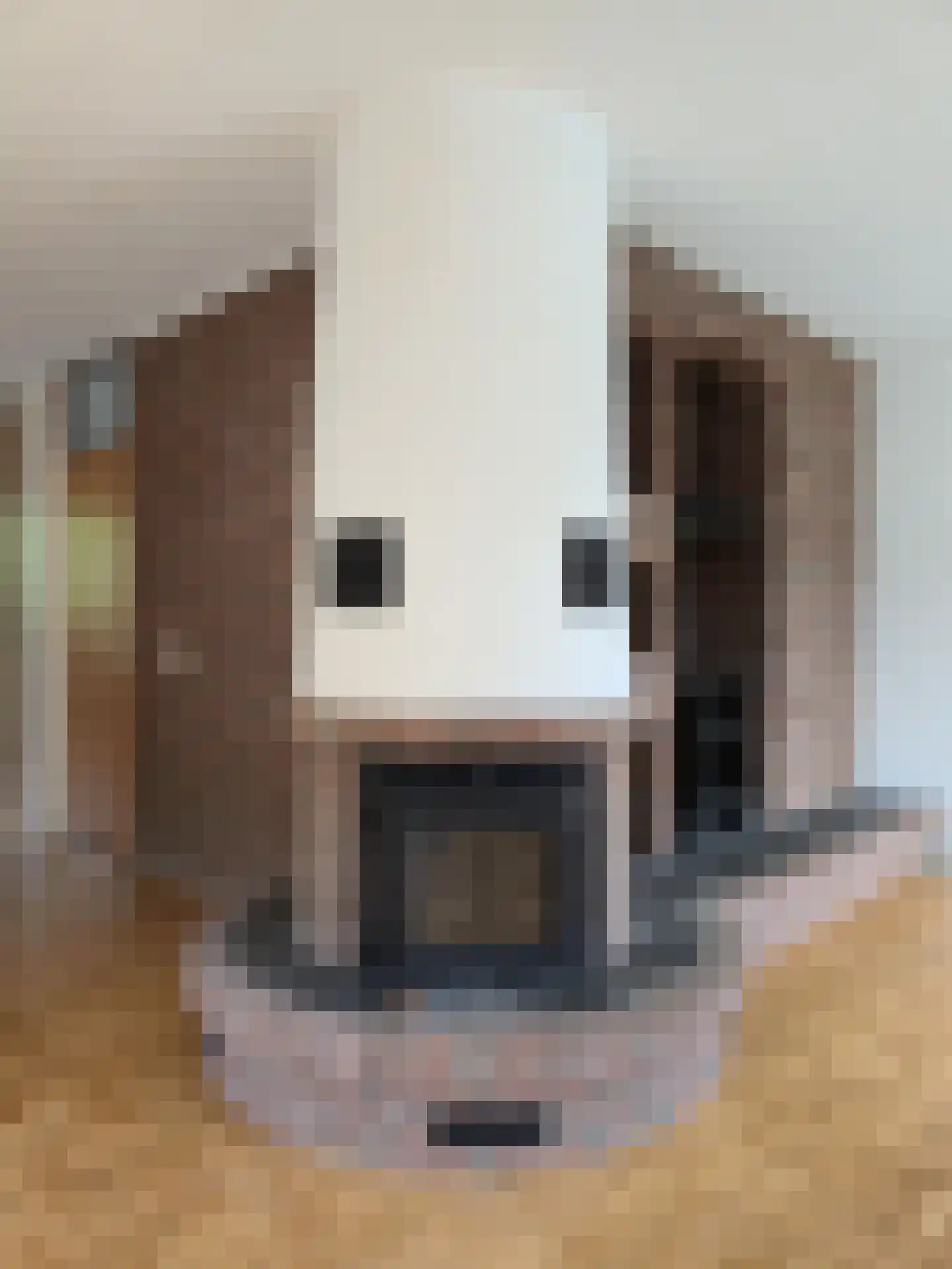 Huis ter Aa 4 Heveadorp thumbnail 8