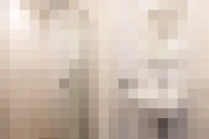 Huis ter Duinstraat 13 Noordwijk thumbnail 13