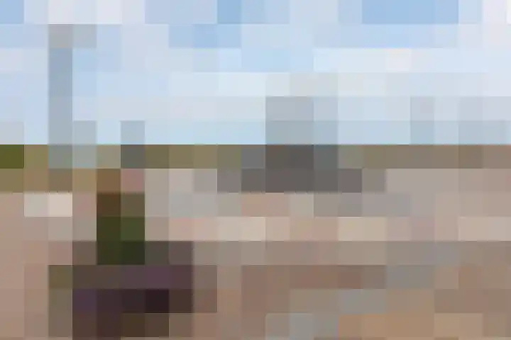 Huis ter Duinstraat 13 Noordwijk thumbnail 25