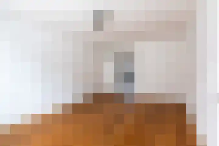 Huis ter Duinstraat 13 Noordwijk thumbnail 7