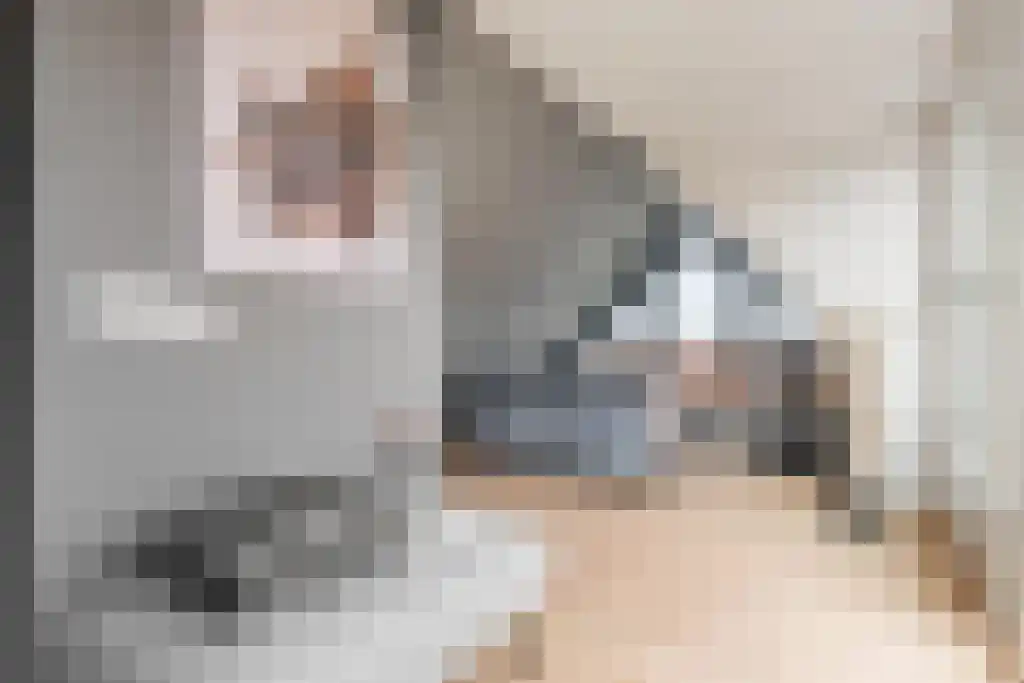 Huis ter Duinstraat 40 F Noordwijk thumbnail 8