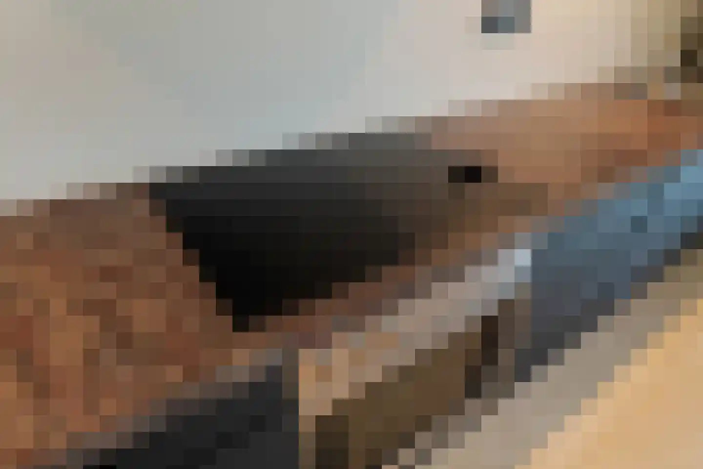 Huis ter Duinstraat 40 H Noordwijk thumbnail 22