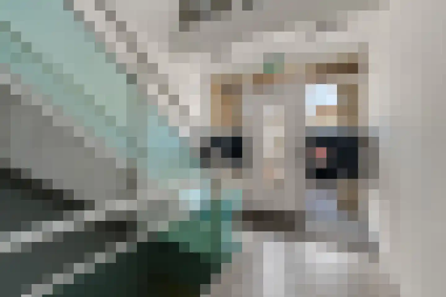 Huis ter Duinstraat 40 H Noordwijk thumbnail 47