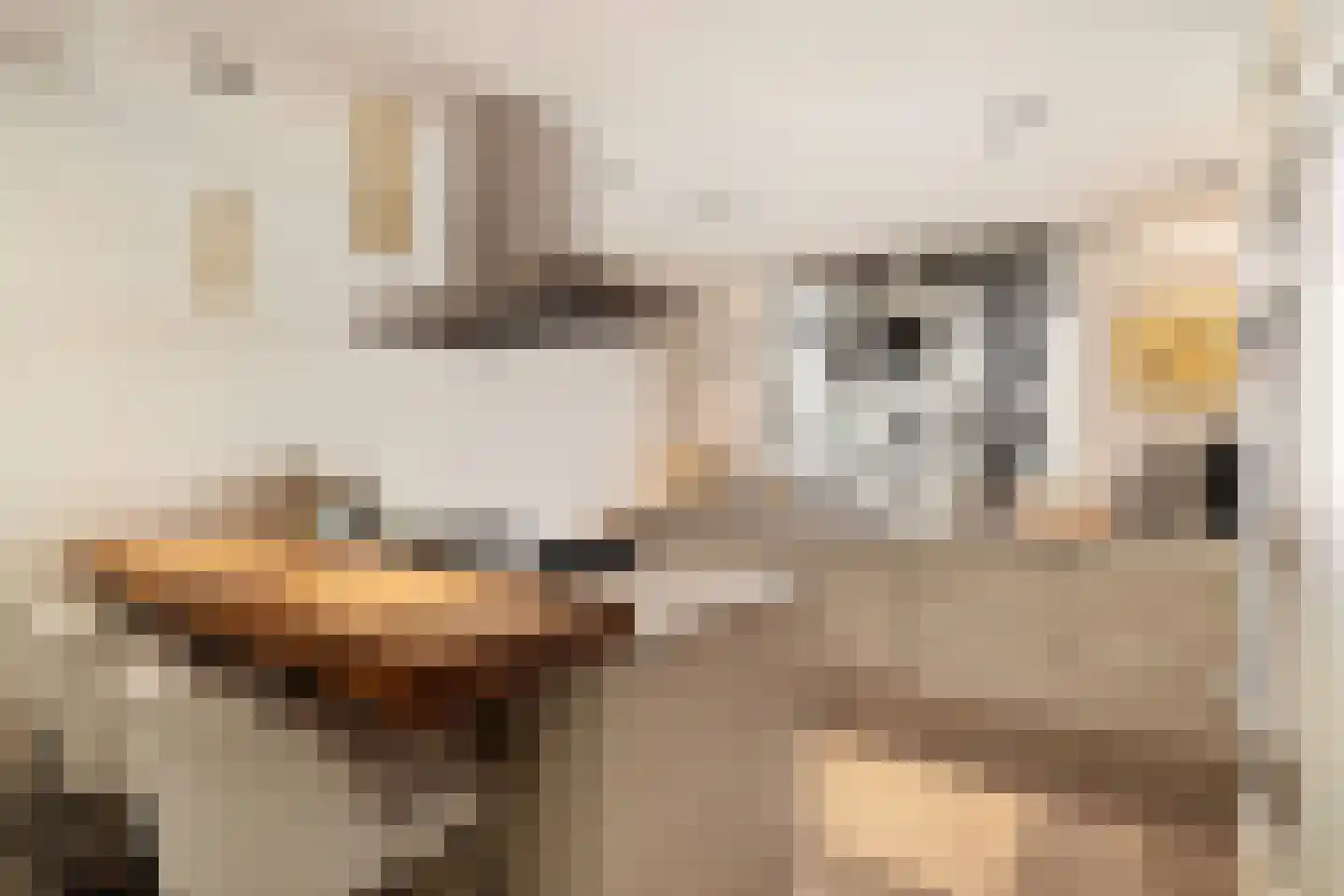 Huis ter Duinstraat 52 Noordwijk thumbnail 16