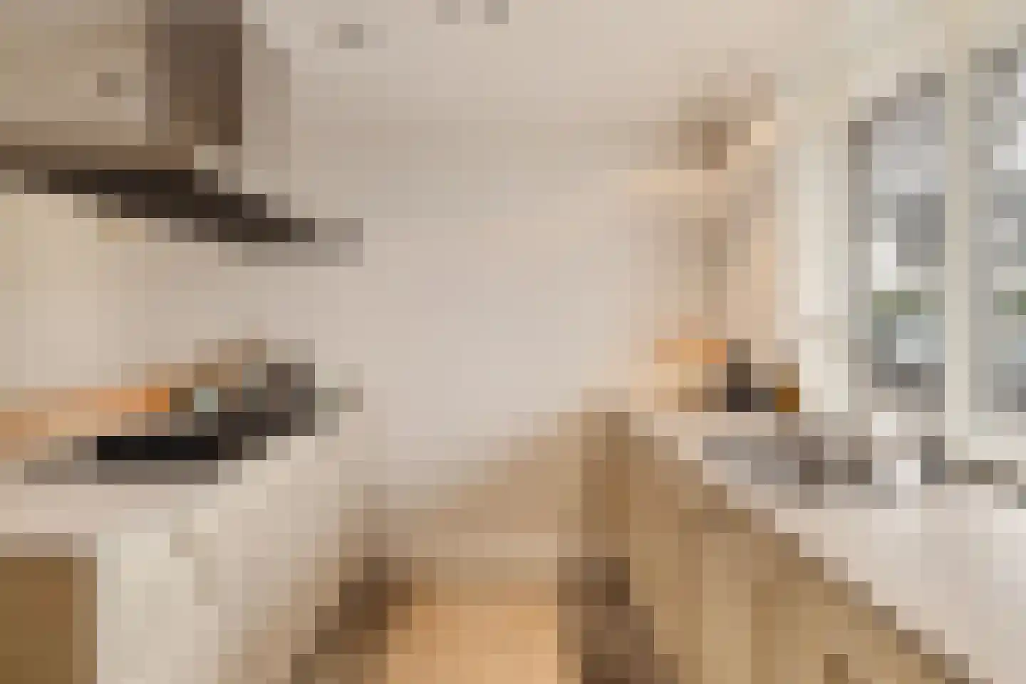 Huis ter Duinstraat 52 Noordwijk thumbnail 17