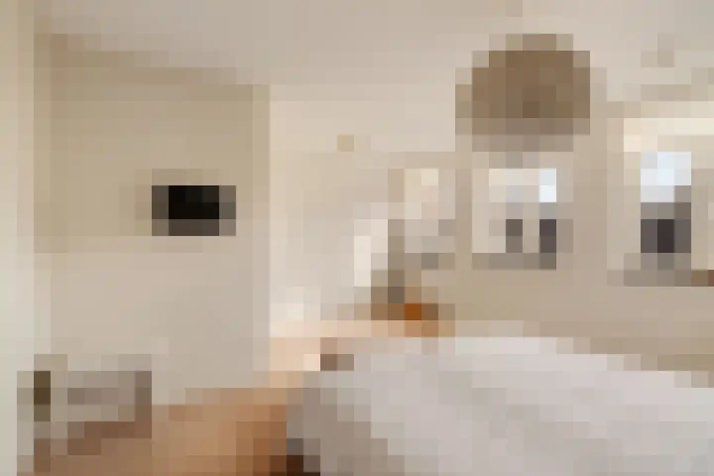 Huis ter Duinstraat 52 Noordwijk thumbnail 23