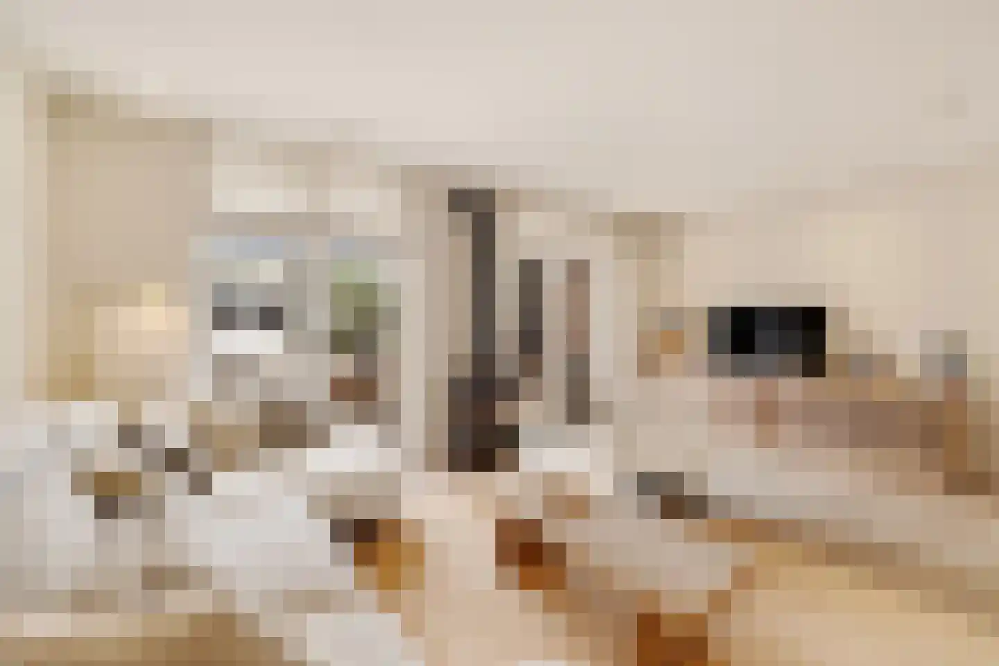 Huis ter Duinstraat 52 Noordwijk thumbnail 6