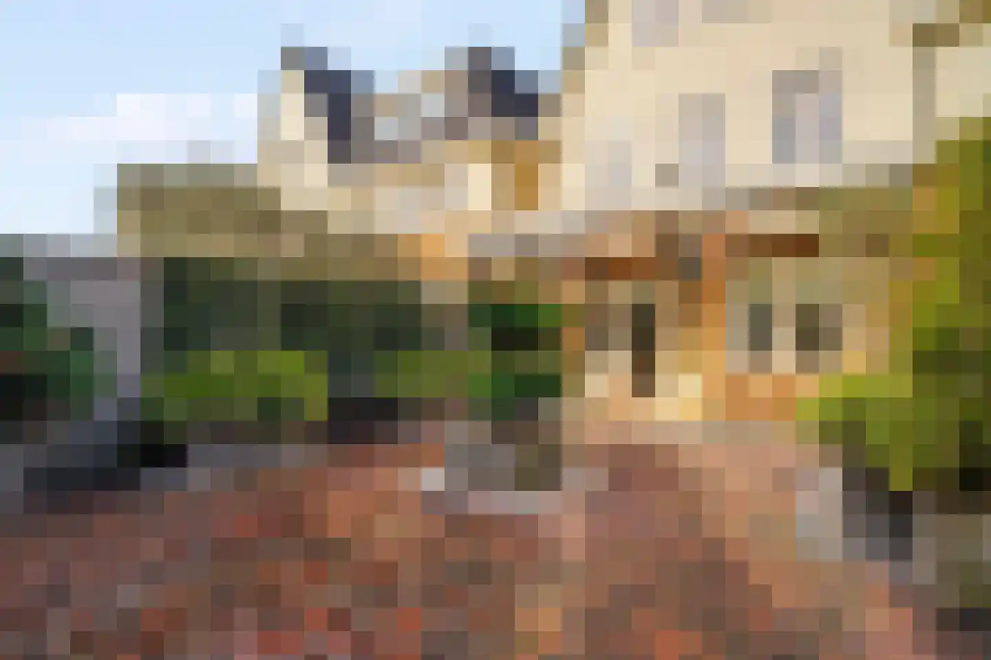 Huis ter Duinstraat 52 Noordwijk thumbnail 8