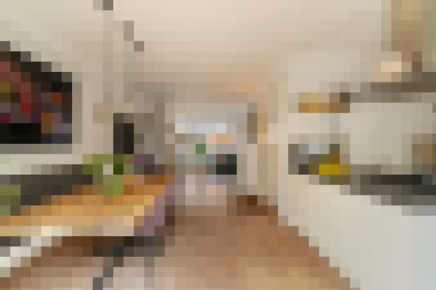 Huis ter Duinstraat 6 Noordwijk thumbnail 10