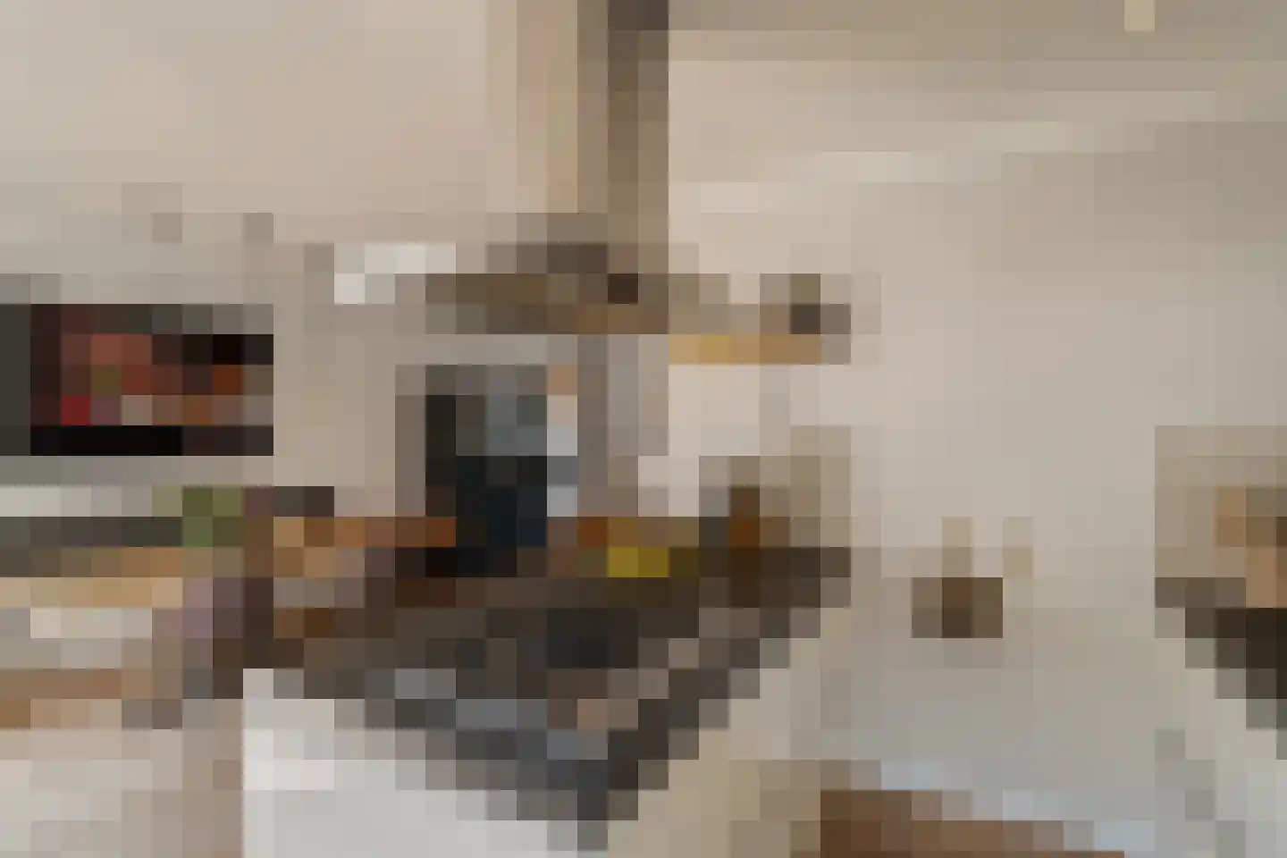 Huis ter Duinstraat 6 Noordwijk thumbnail 13