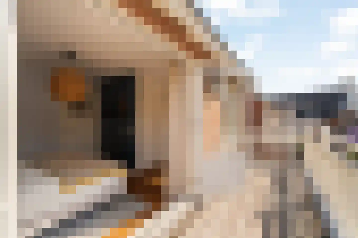 Huis ter Duinstraat 6 Noordwijk thumbnail 16