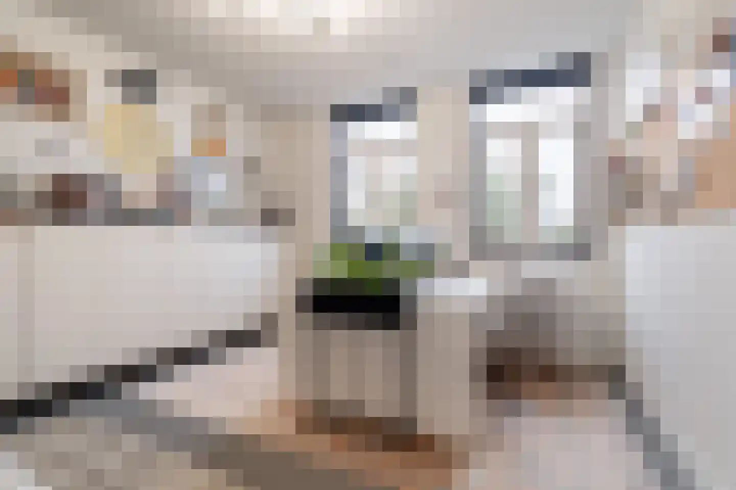 Huis ter Duinstraat 62 Noordwijk thumbnail 34