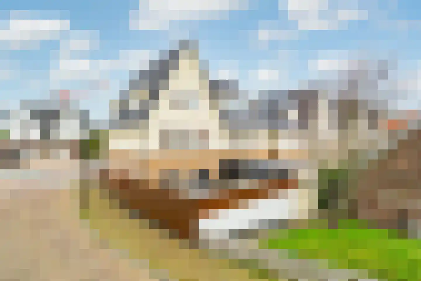 Huis ter Duinstraat 62 Noordwijk thumbnail 49