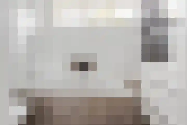 Huisakker 4 Bavel thumbnail 24