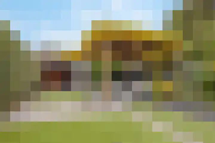Huisakker 4 Bavel thumbnail 31