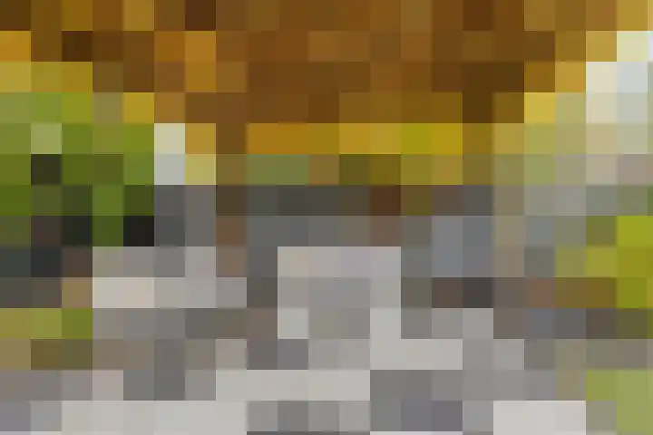 Huisakker 4 Bavel thumbnail 32