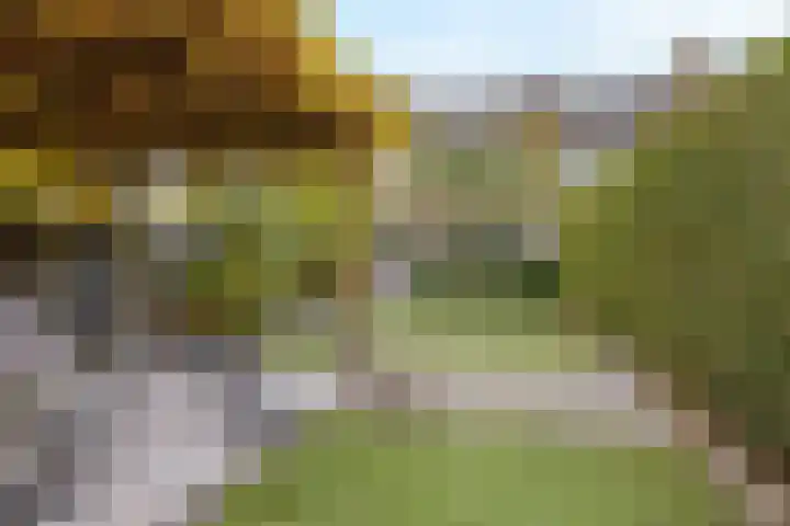 Huisakker 4 Bavel thumbnail 5