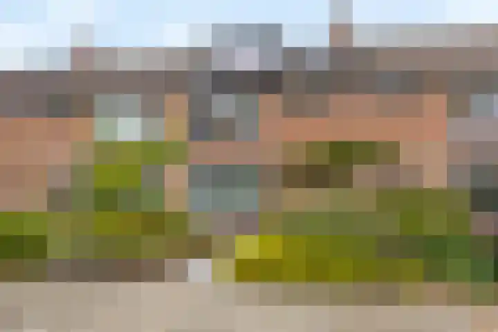 Huisakker 4 Bavel thumbnail 6