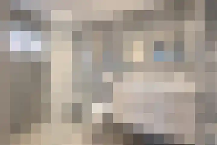 Huisbergerstraat 136 Heerlen thumbnail 17