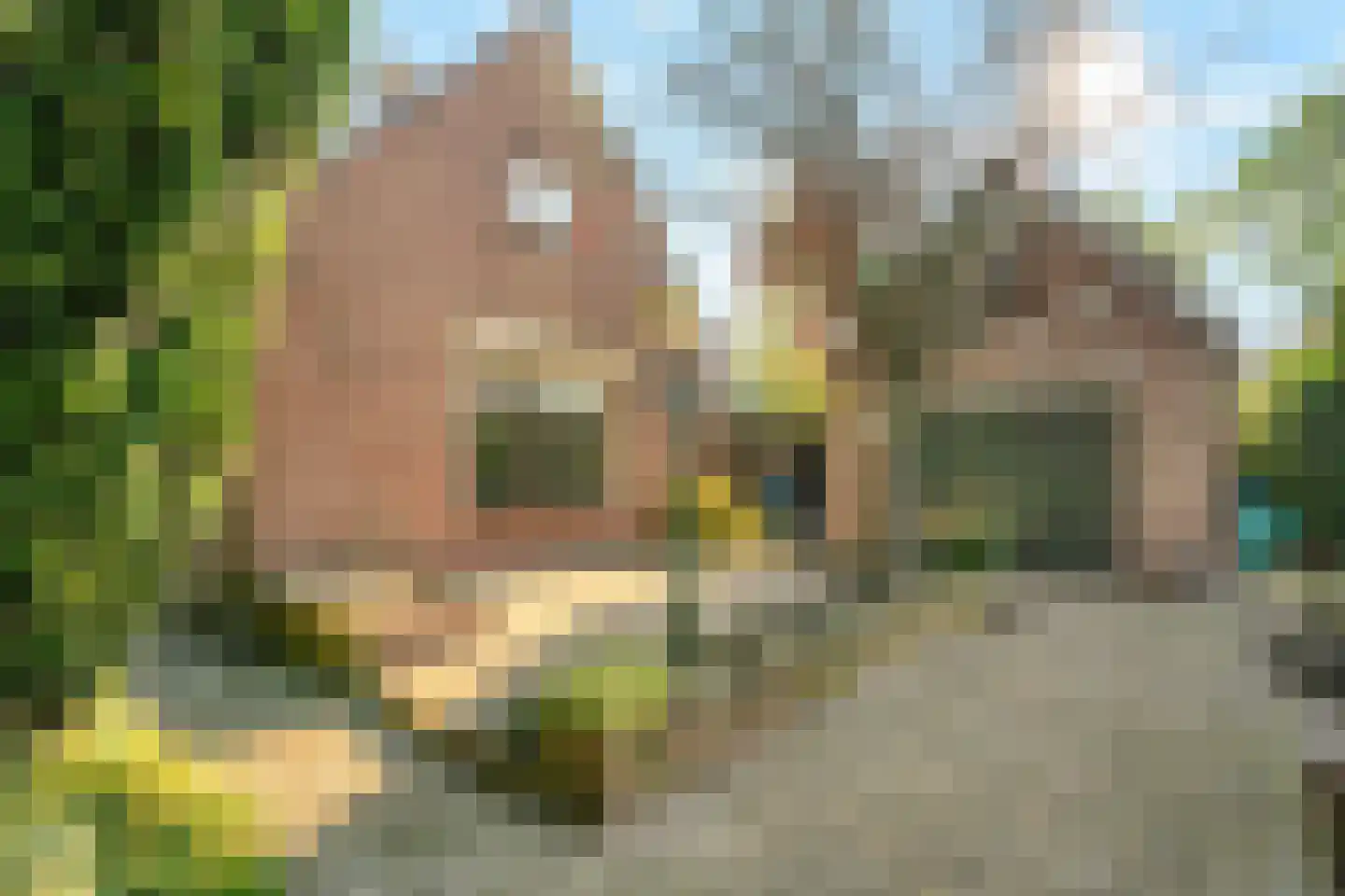Huisdijk 16 Doornspijk thumbnail 19