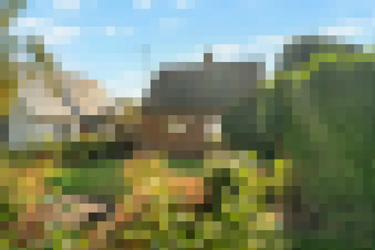 Huisdijk 16 Doornspijk thumbnail 24
