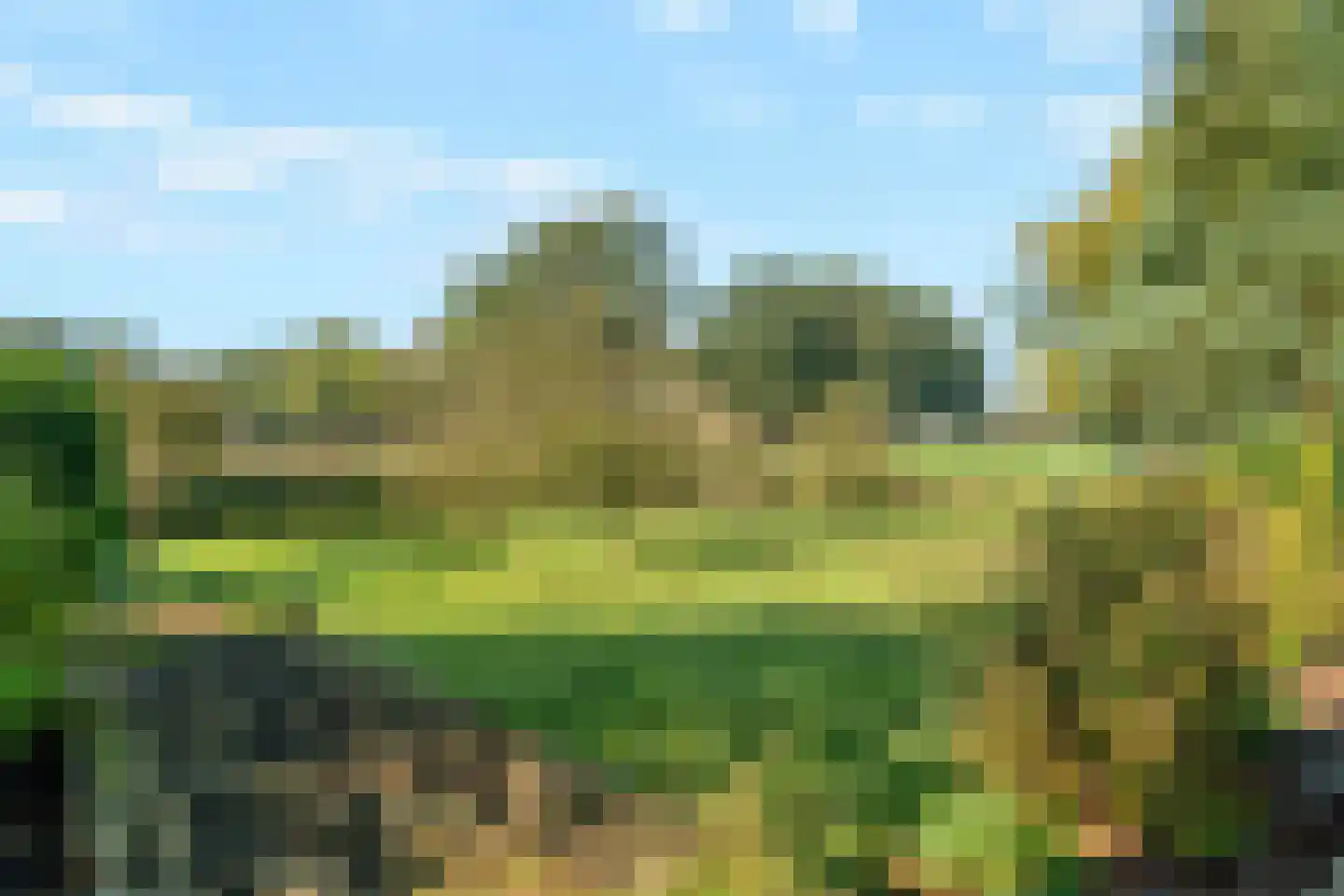 Huisdijk 16 Doornspijk thumbnail 26
