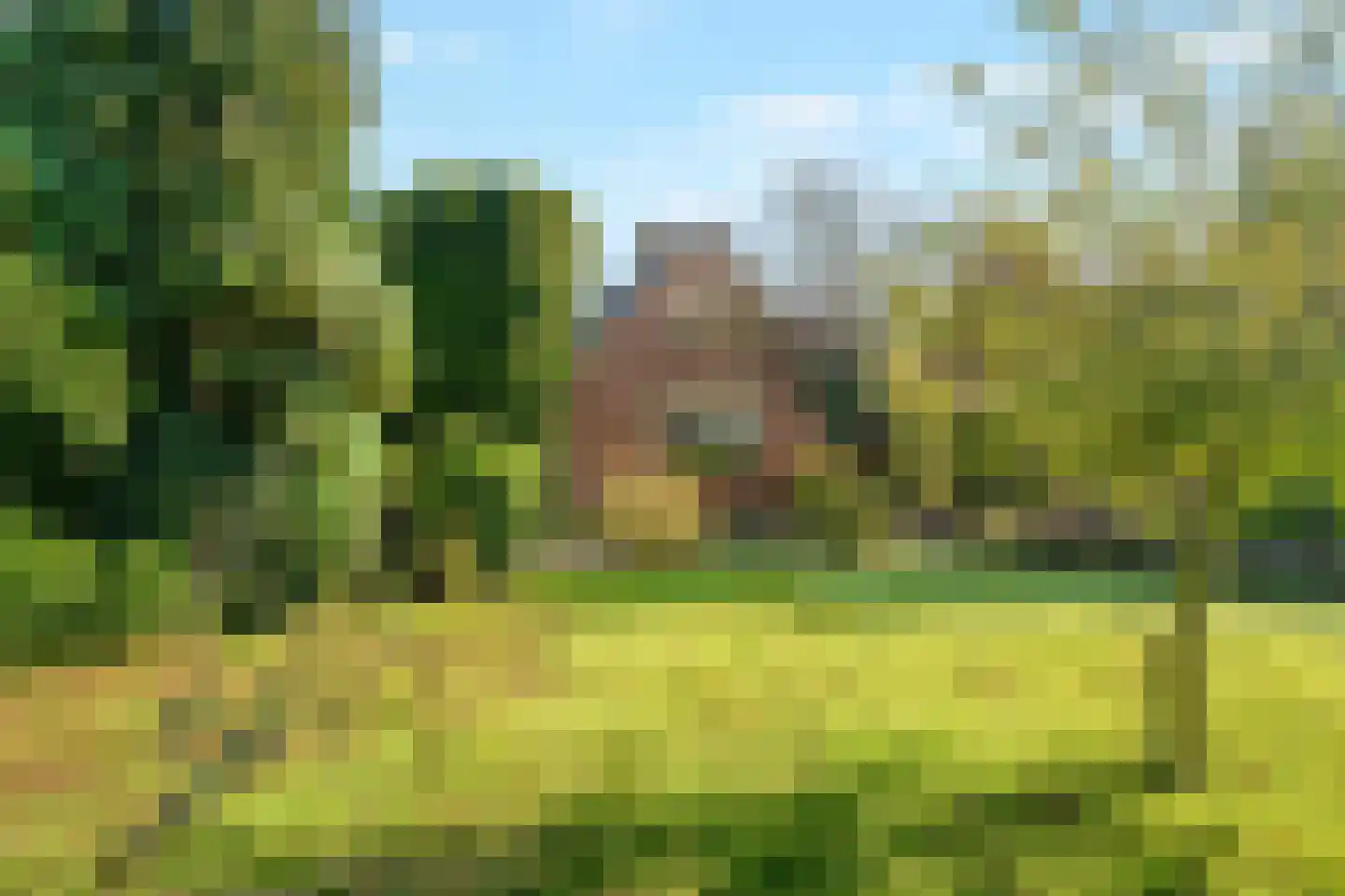 Huisdijk 16 Doornspijk thumbnail 27